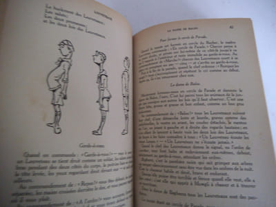 Le livre des louveteaux