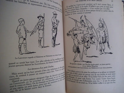 Le livre des louveteaux