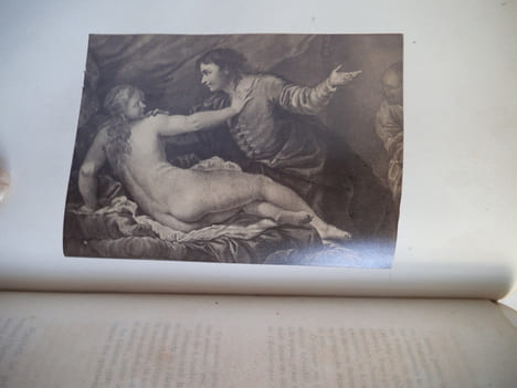 Fleurs historiques des Dames et des gens du Monde. LAROUSSE M.P