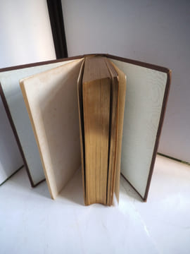 Fleurs historiques des Dames et des gens du Monde. LAROUSSE M.P