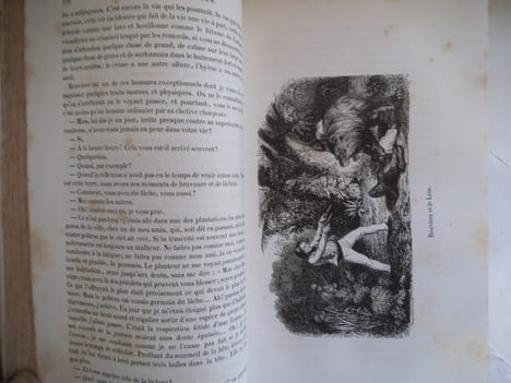 souvenirs d’un aveugle-Voyage autour du monde . ARAGO Jacques