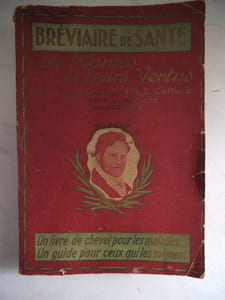 Les plantes et leurs vertus