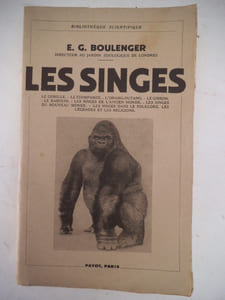 Les singes