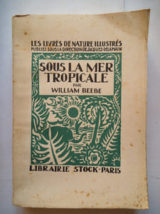 Sous la mer tropicale