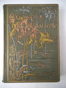 A travers l’histoire naturelle