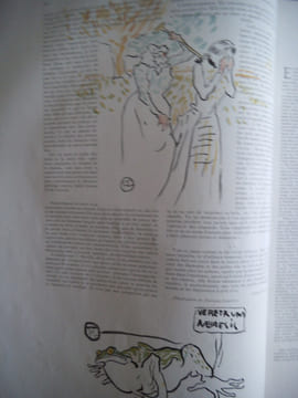 FIGARO ILLUSTRE année 1896 . Collectif 