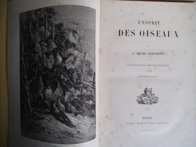 L’esprit des oiseaux 