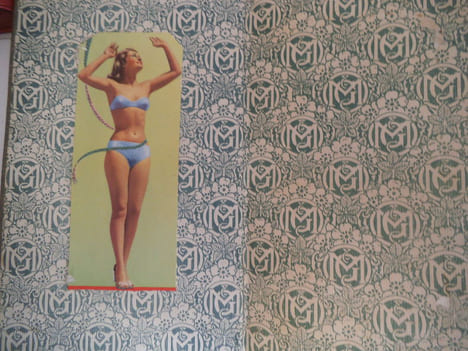 La beauté de la femme . STRATZ Dr 