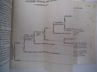 Maître Pierre ou le savant de village entretiens sur la botanique, entretiens sur la zoologie, entretiens sur l’hygiène.