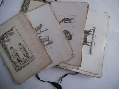 Suite de 167 gravures