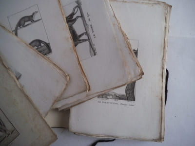Suite de 167 gravures