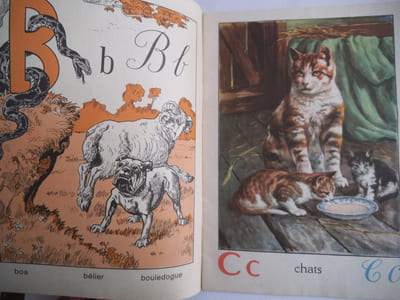 ABC des animaux.