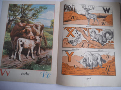ABC des animaux. 