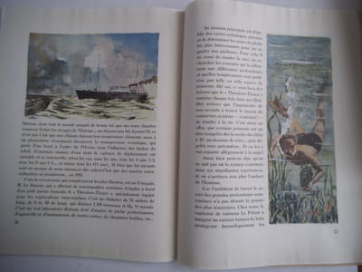A la découverte des trésors sous-marins.