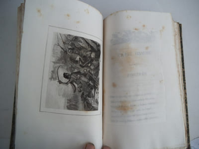Napoléon en Egypte, WATERLOO et le fils de l’Homme