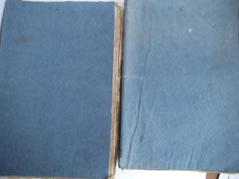 Journal du DIMANCHE . Collectif