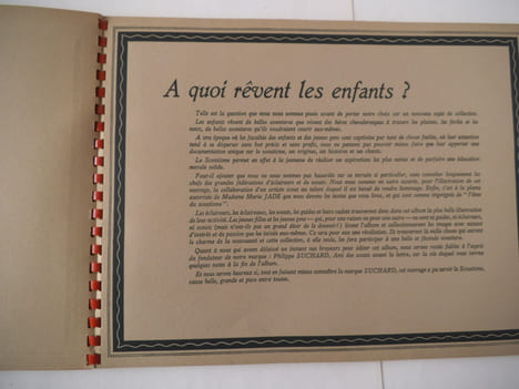 La vie fière et joyeuse des scouts.. Collectif