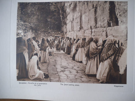 Photographies et fleurs de Terre Sainte. anonyme