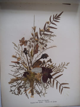 Photographies et fleurs de Terre Sainte. anonyme