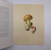 Beaux champignons. Duperrex Aloys, aquarelles Poluzzi Charles