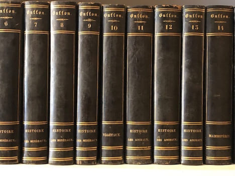 Oeuvres complètes de Buffon mises en ordre et précédées d'une notice historique par M. A. Richard. Buffon