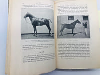 Elevage et dressage du cheval
