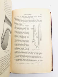 Elevage et dressage du cheval