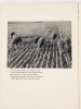 Nos amies les bêtes. 60 photographies d'André Kertész. Jaboune (Jean Nohain) ; Kertész André (photographies)