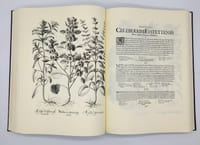 Primus Ordo Collectarum Plantarum Hyemalivm