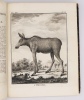 Histoire naturelle générale avec la description du cabinet du Roi (tome quinzième). De Buffon - Daubenton