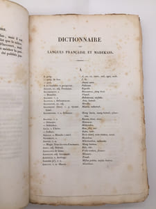 Voyage de découvertes de l'Astrolabe exécuté par Ordre du Roi pendant les années 1826-1827-1828-1829, sous le commandement de M. J. Dumont d'Urville, capitaine de vaisseau. Philologie. Première partie.