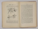 Le livre des plantes médicinales et vénéneuses de France, 3 vol.. FOURNIER, P.
