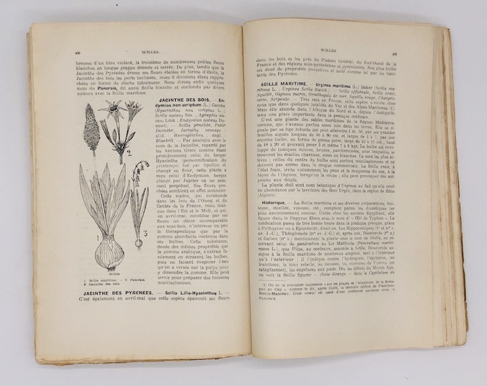 LIVRE Larousse des plantes médicinales, traduction P.Vican, E. Gautier