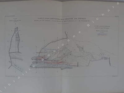 Les grottes de Grimaldi ( Baousse-Rousse ). Géologie et Paléontologie. Tome I - Fascicule II.