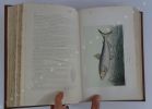 La pêche et les poissons. Nouveau dictionnaire général des pêches.  Précédé d'une préface par Auguste Duméril. 1100 illustrations dessinées et ...