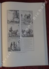 Voraussetzungen und Frühgeschichte des Unternehmens. Untersuchungen zur Wirtschafts- und Verwaltungsgeschichte der Schweiz. Geschichte der Ludwig von Roll'schen Eisenwerke. Erster Band."Herausgegeben vom Direktorium"