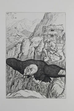 La Vengeance du Condor. Récits péruviens traduits de l'espagnol par Max Daireaux, Francis de Miromandre et Victor Flama. Illustrations de J. Tillac.. ...