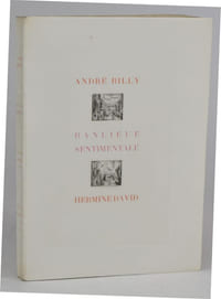 Banlieue sentimentale. Eaux-fortes de Hermine David.