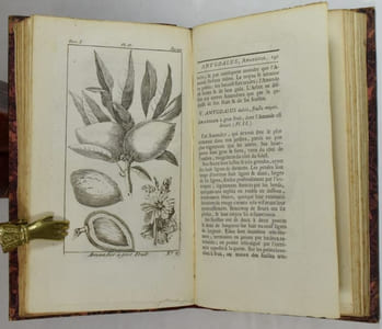 Traité des arbres fruitiers, contenant leur figure, leur description, leur culture, &c. Tome Premier (-Second, -Troisième).