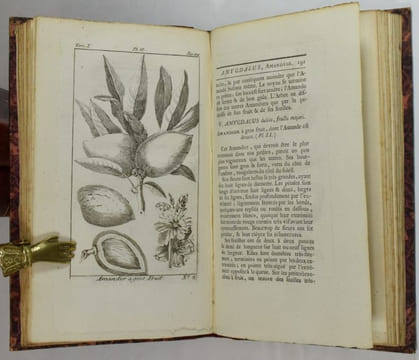 Traité des arbres fruitiers, contenant leur figure, leur description, leur culture, &c. Tome Premier (-Second, -Troisième).. DUHAMEL DU MONCEAU, ...