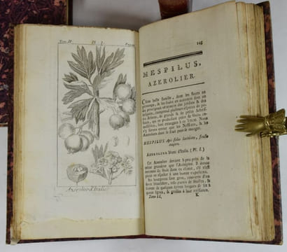 Traité des arbres fruitiers, contenant leur figure, leur description, leur culture, &c. Tome Premier (-Second, -Troisième).. DUHAMEL DU MONCEAU, ...
