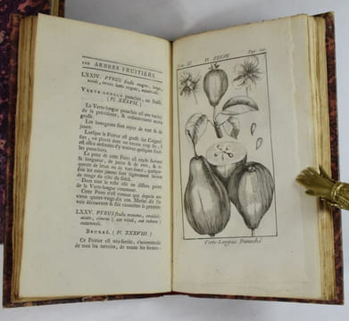 Traité des arbres fruitiers, contenant leur figure, leur description, leur culture, &c. Tome Premier (-Second, -Troisième).. DUHAMEL DU MONCEAU, ...