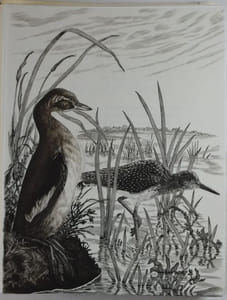 Les Chants des Solitudes. Ornés de Burins originaux de Tavy Notton.