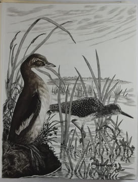 Les Chants des Solitudes. Ornés de Burins originaux de Tavy Notton.. BUFFON ; NOTTON, Tavy (illustrations).