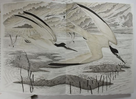 Les Chants des Solitudes. Ornés de Burins originaux de Tavy Notton.. BUFFON ; NOTTON, Tavy (illustrations).