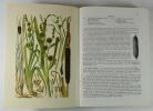 Illustrierte Flora von Mittel-Europa - Band I - Pteridophyta, Gymnospermae und Monocotyledones I. HEGI  Gustav