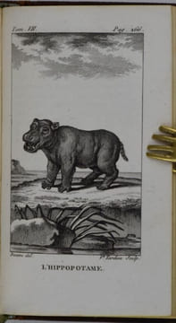 Histoire Naturelle de Buffon, classée par ordres, genres et espèces, d'après le système de Linné, avec les caractères génériques et la nomenclature ...