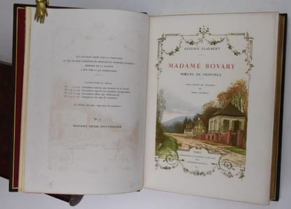 Madame Bovary. Murs de province.