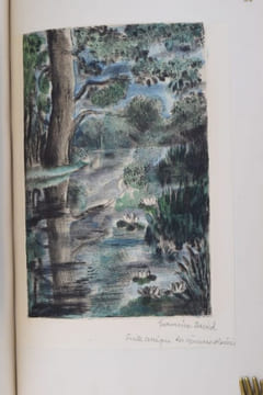 Sarn. Pointes sèches de Hermine David.. WEBB, Mary ; DAVID, Hermine (illustrations) - RELIURE DE CREUZEVAULT