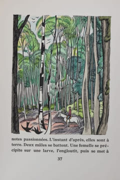 Clairière. Bois de Falke. [Envoi]. CONSTANTIN-WEYER ; FALKÉ (illustrations).